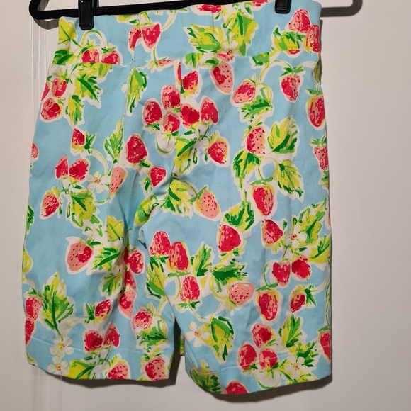 Barbara Erickson Watermelon Print Shorts SZ S - Picture 3 of 3